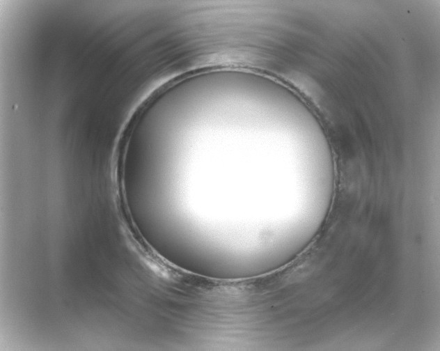 X0000071861078200607072321