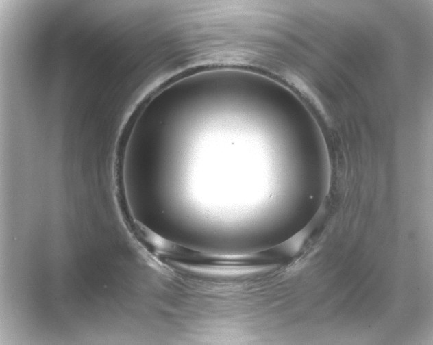 X0000071861085200607072321