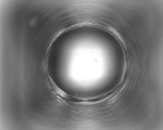 X0000071861097200607072321