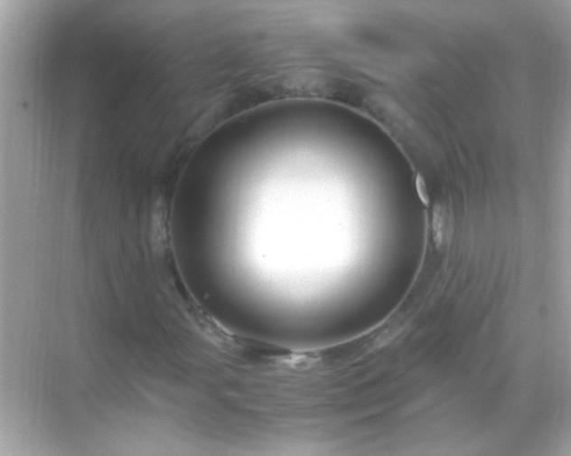 X0000071861107200607072320