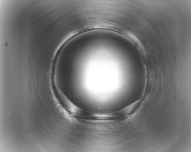 X0000071861138200607072320