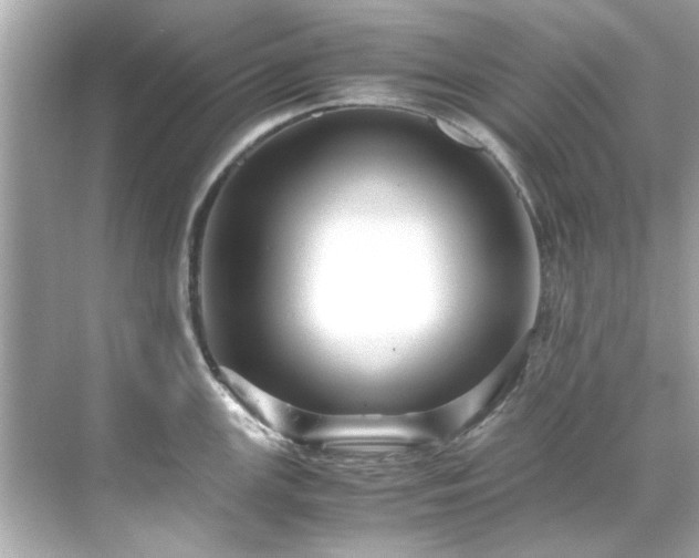 X0000071861147200607072321