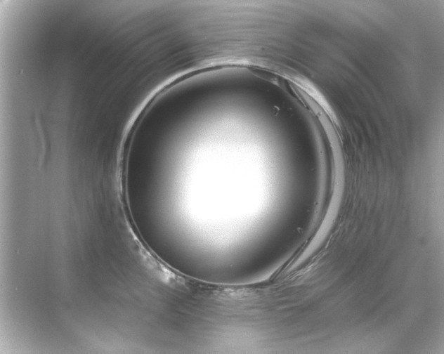 X0000071861148200607072321