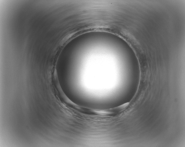 X0000071861169200607072320