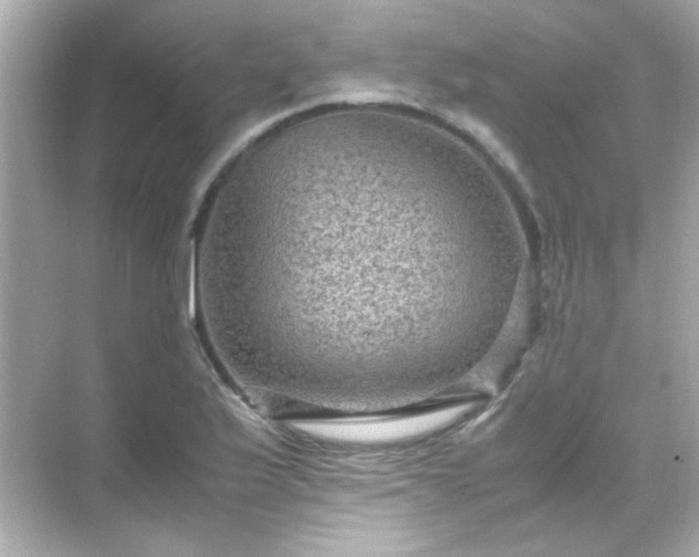 X0000071861175200607072319