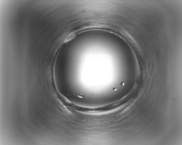 X0000071861177200607072319