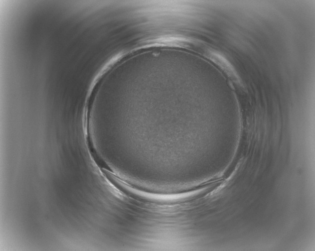 X0000071861180200607072319