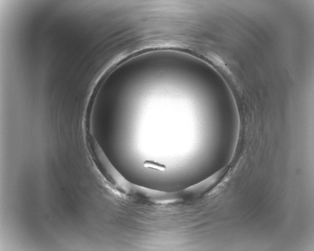 X0000071861181200607072319