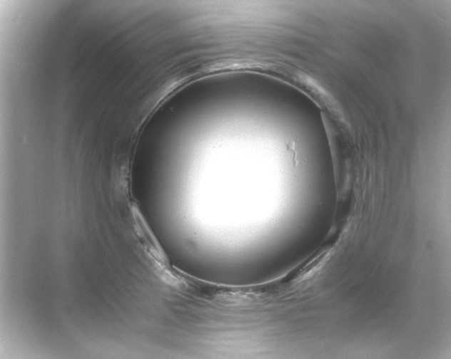 X0000071861185200607072319