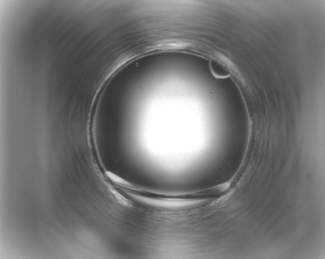 X0000071861186200607072319
