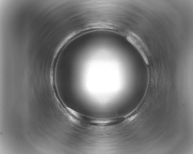 X0000071861188200607072319