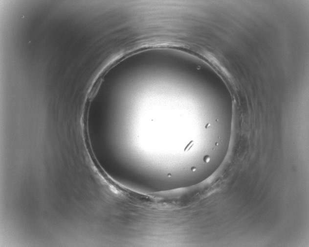 X0000071861189200607072319