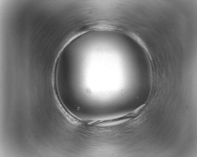 X0000071861195200607072319