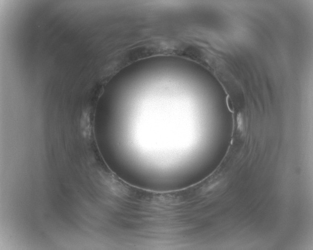 X0000071861203200607072318