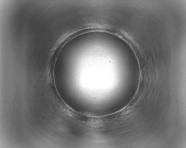 X0000071861215200607072318