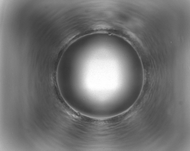 X0000071861217200607072319