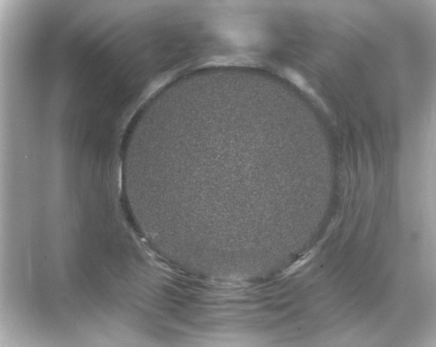 X0000071861221200607072319