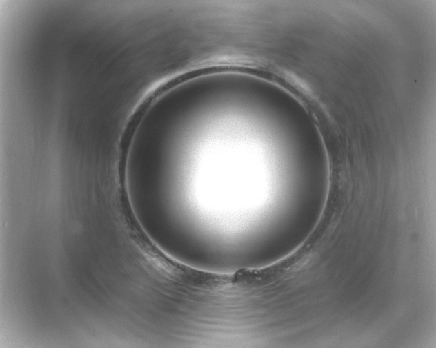 X0000071861222200607072319