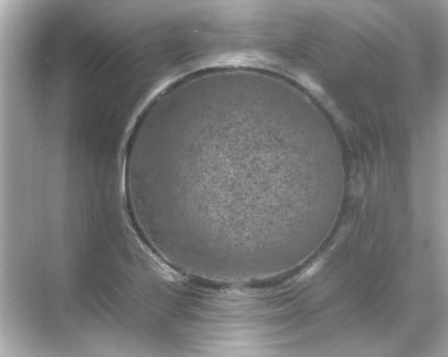 X0000071861224200607072319