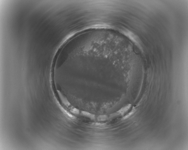 X0000071861229200607072319