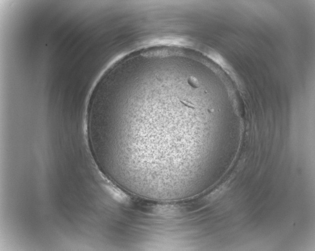 X0000071861232200607072319