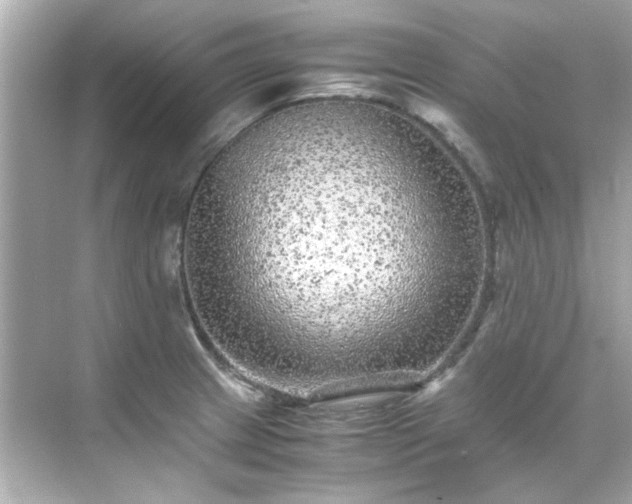 X0000071861233200607072319