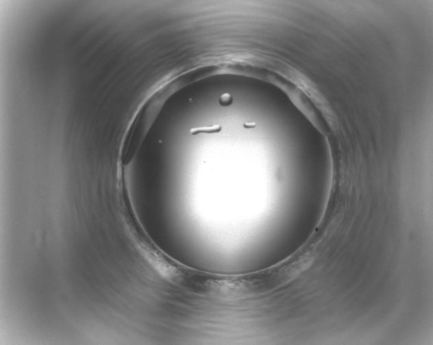 X0000071861234200607072319