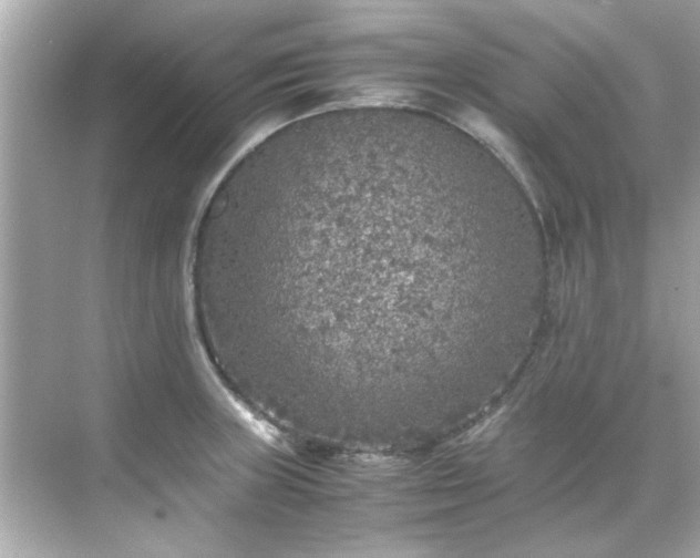 X0000071861235200607072319