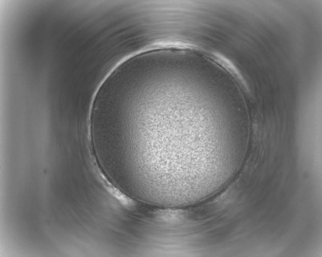 X0000071861236200607072319