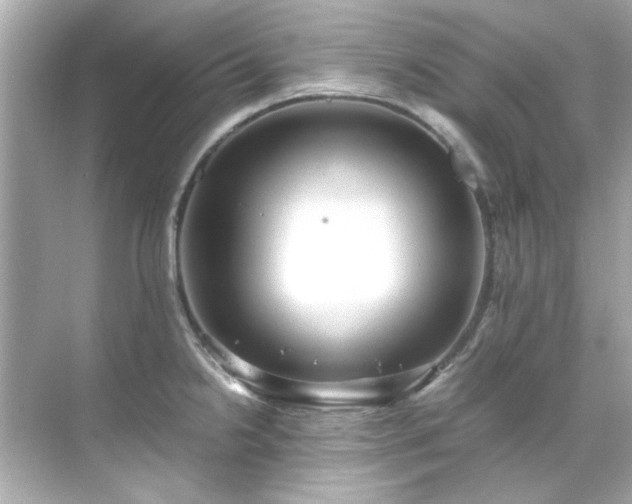 X0000071861238200607072319