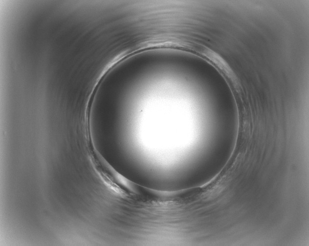 X0000071861242200607072319