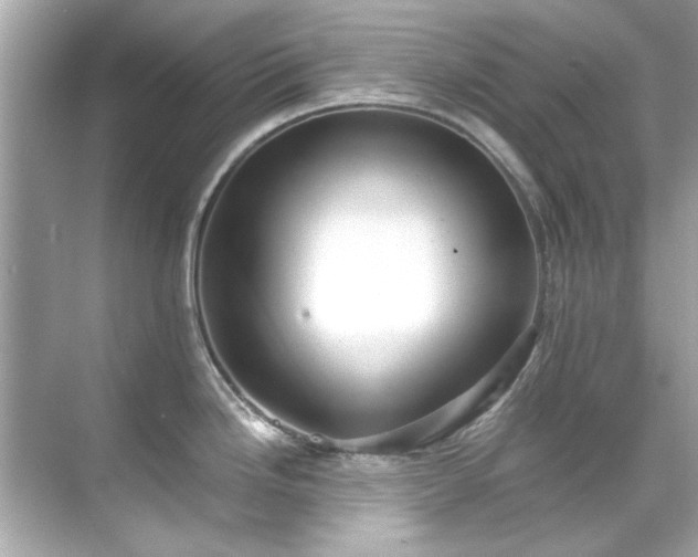 X0000071861246200607072319