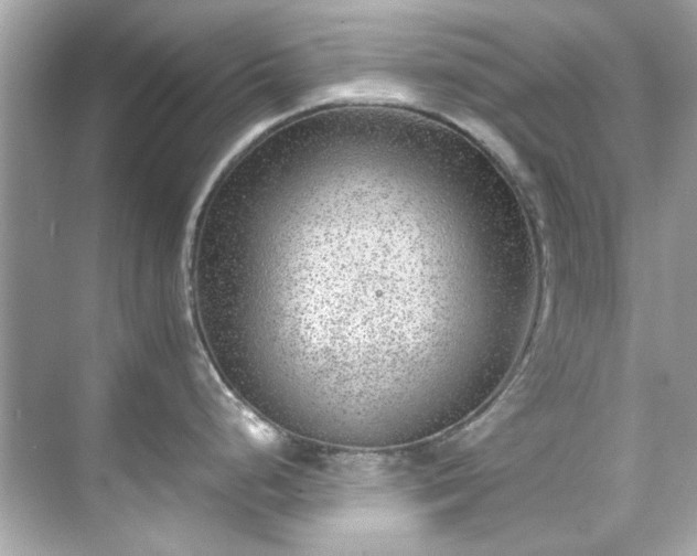 X0000071861248200607072319