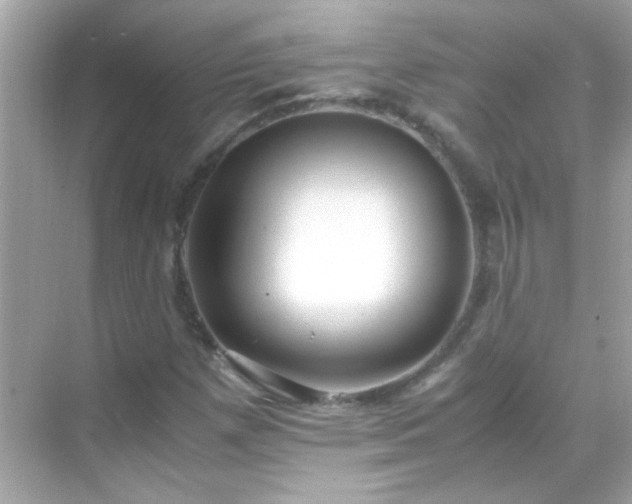 X0000071861257200607072318