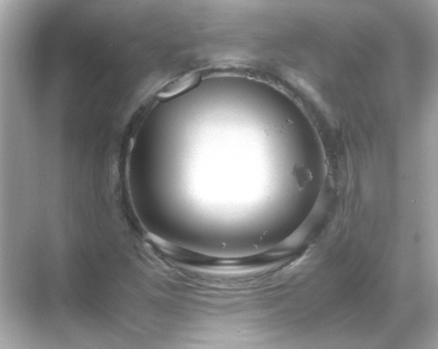 X0000071861261200607072318