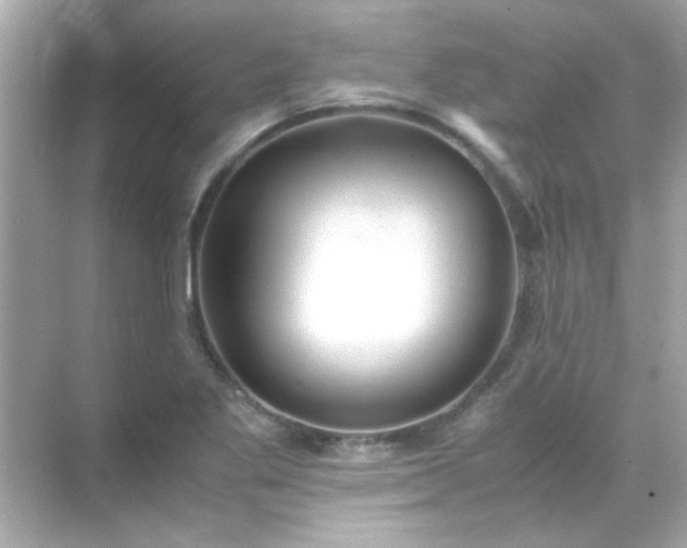 X0000071861269200607072318