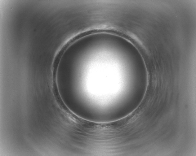 X0000071861270200607072318