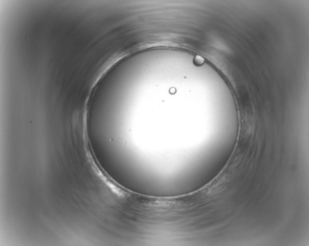 X0000071861290200607072318