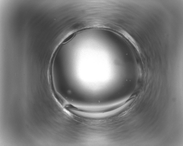 X0000071861293200607072317