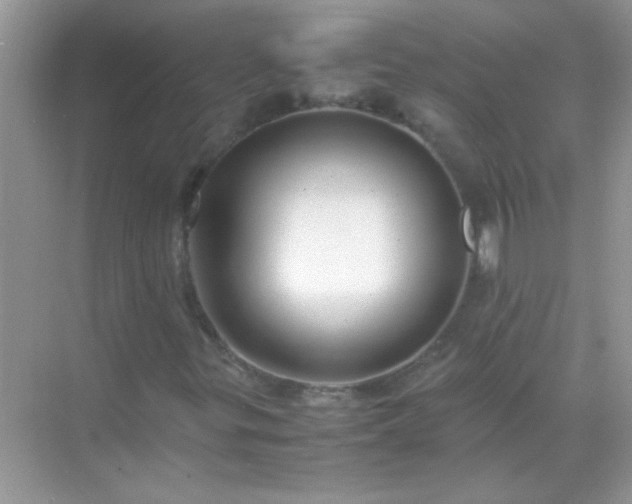 X0000071861299200607072317