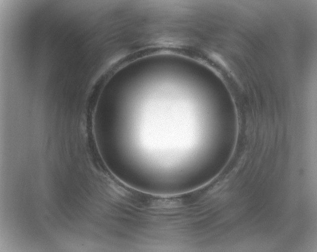 X0000071861307200607072317