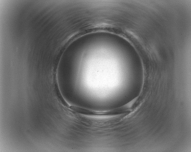 X0000071861313200607072317