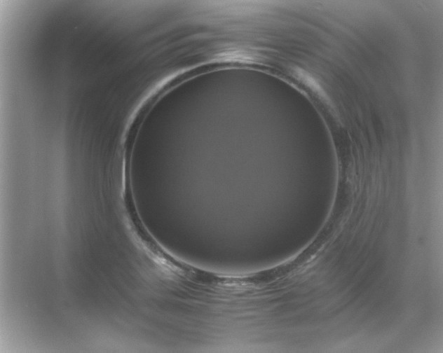 X0000071861323200607072317