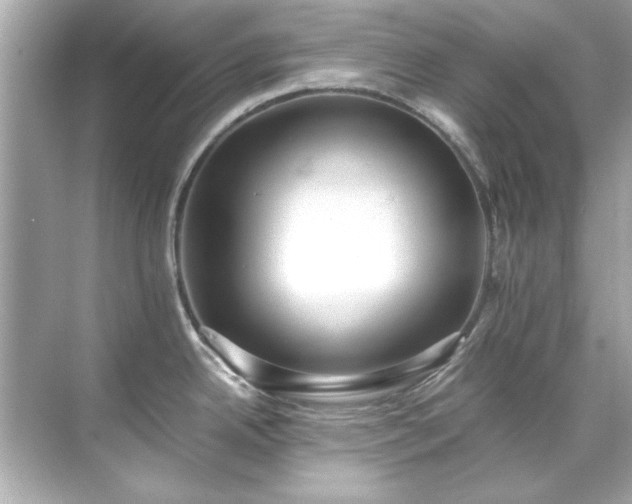 X0000071861342200607072317