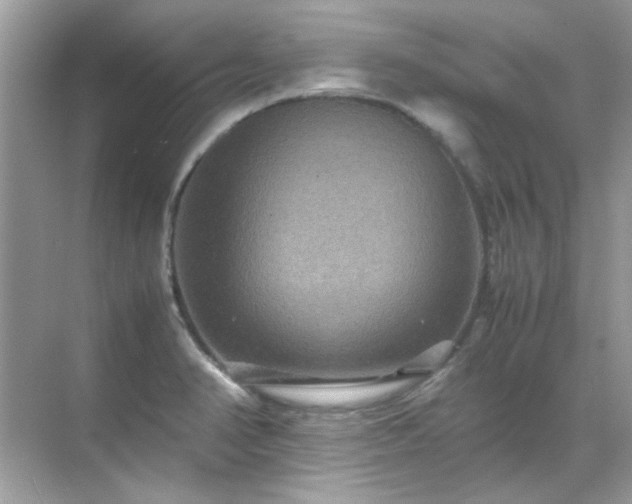 X0000071861374200607072316