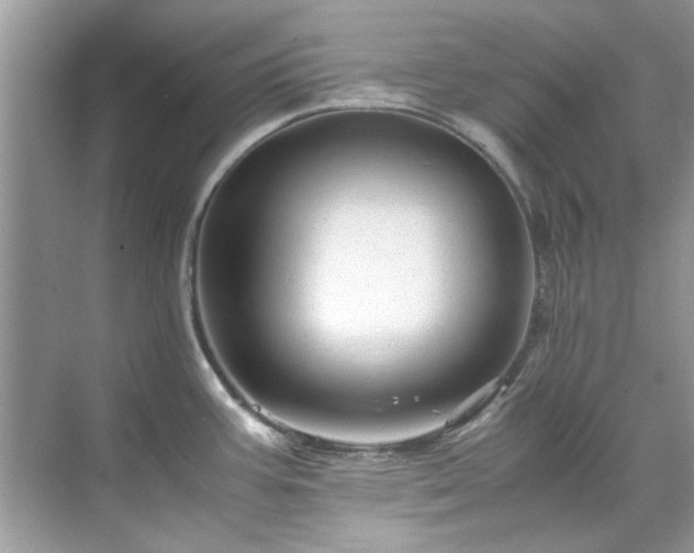 X0000071861387200607072316