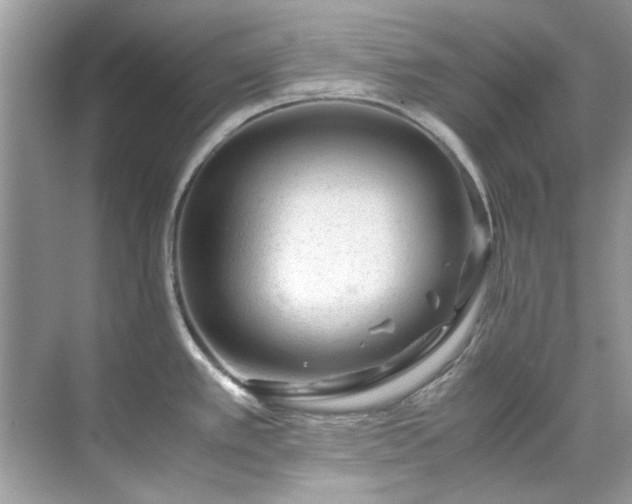 X0000071861389200607072316