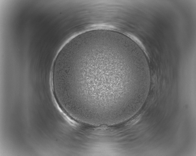 X0000071861391200607072316