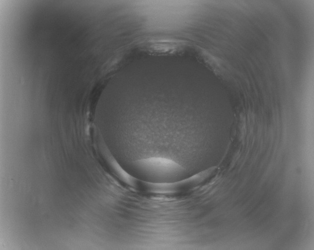 X0000071861394200607072315