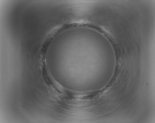 X0000071861398200607072315